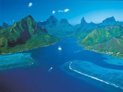 phoca thumb l moorea