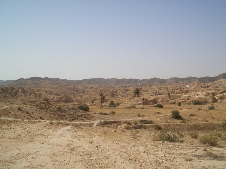 Vor den Toren der Wüste