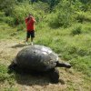 Galapagos