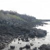 Galapagos