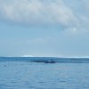Tahaa und Raiatea