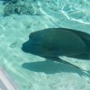 Unterwasserwelt