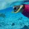 Borabora und Huahine