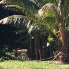 Borabora und Huahine
