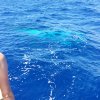 Moorea und Tahiti